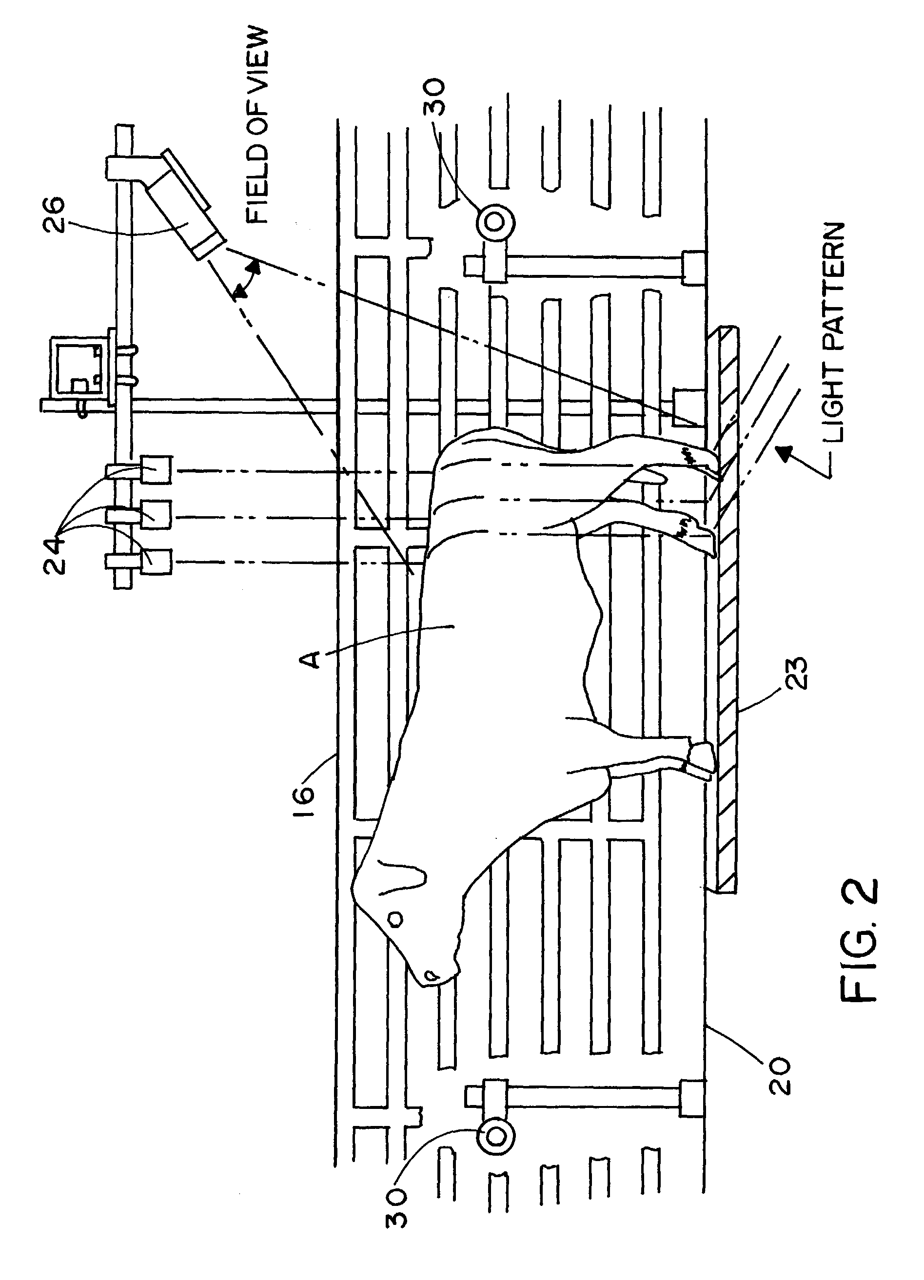 Methods and apparatus for the dimensional measurement of livestock using a single camera