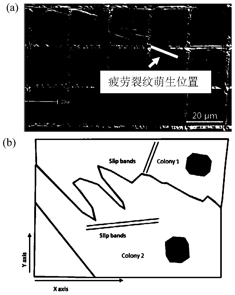 Method for predicting initiation location or expansion direction of cracks on metal surface