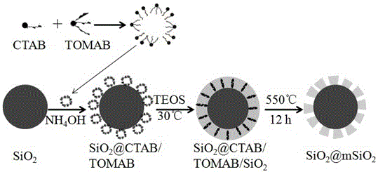 Method for preparing mesoporous silica core-shell microspheres