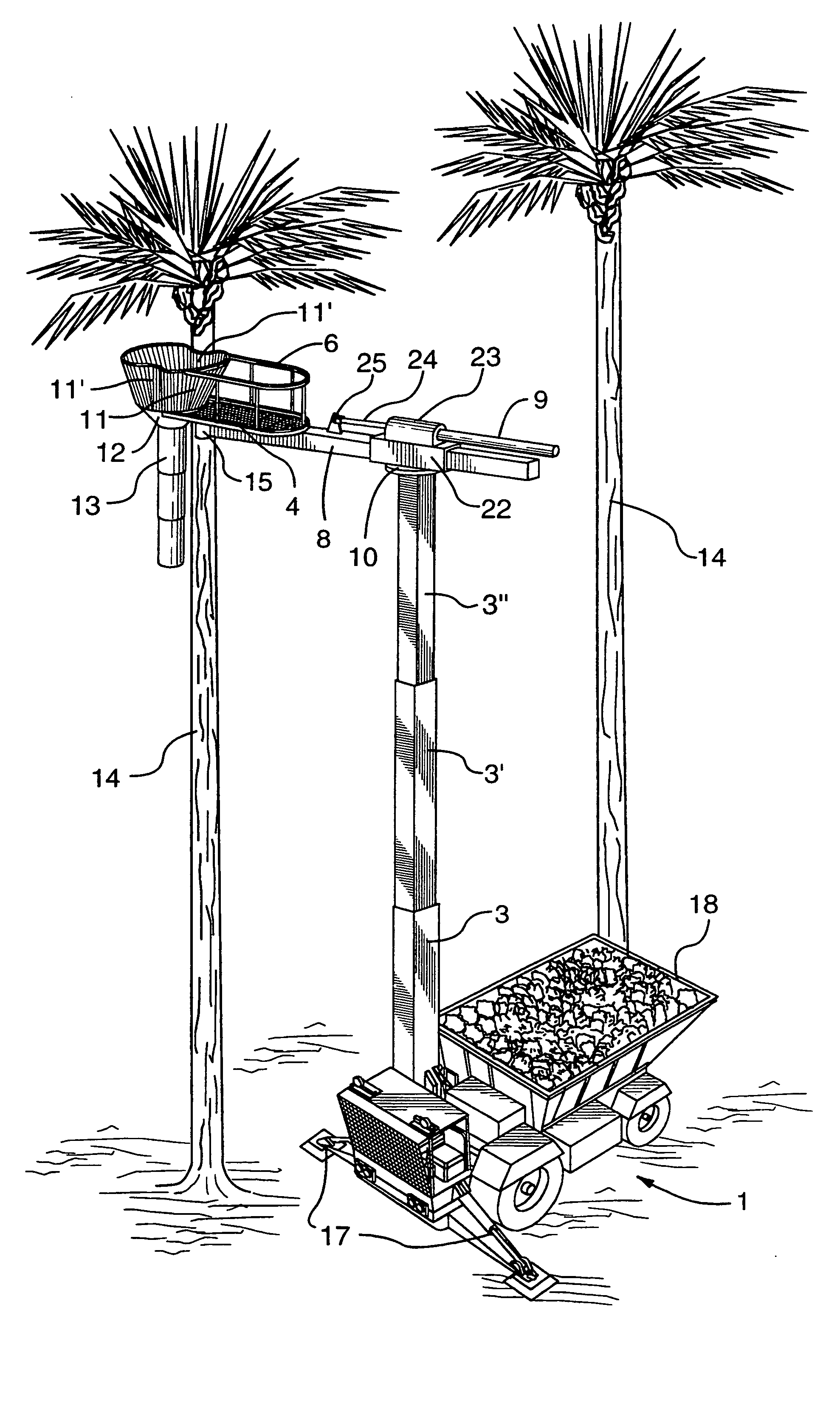 Harvesting apparatus for tall-growing crops