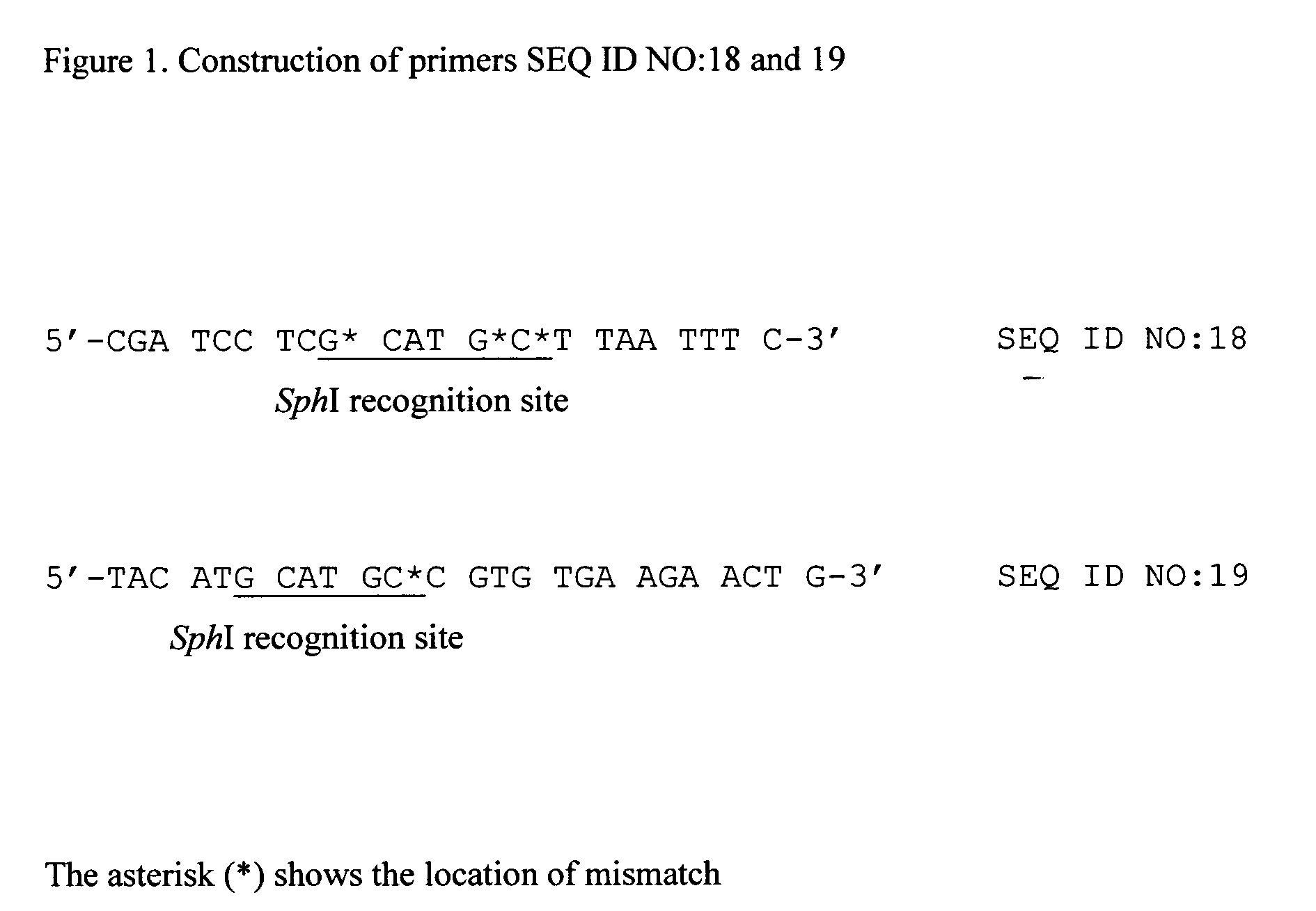 Mutant serine acetyltransferase