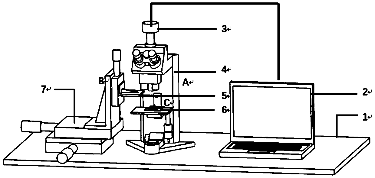 Preparation method and preparation device of microsphere probe