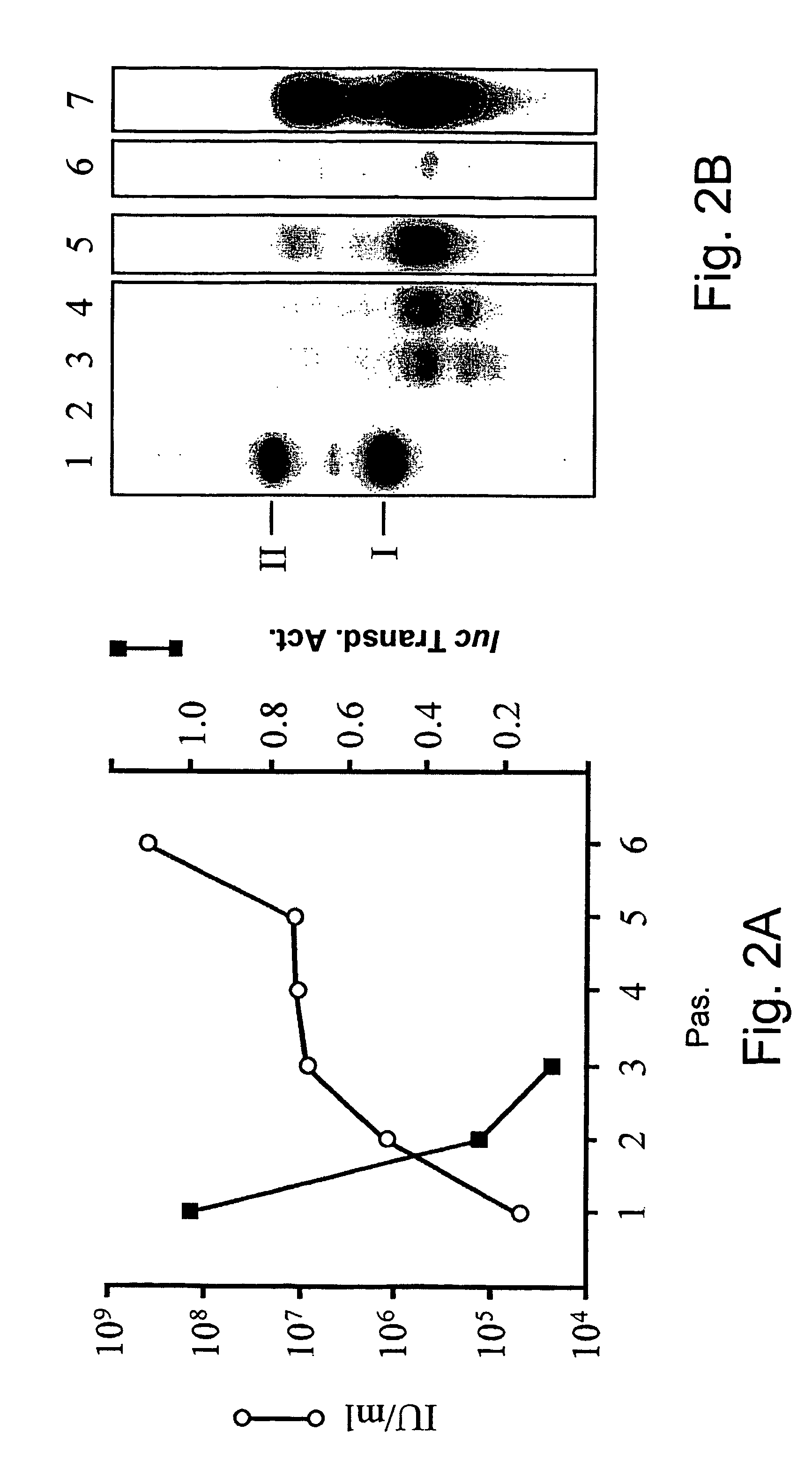 Packaging complementation cell-line for sv-40 vectors