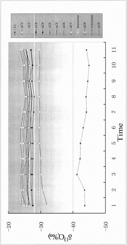 Carbon isotope analysis method for series of hydrocarbon compounds in natural gas