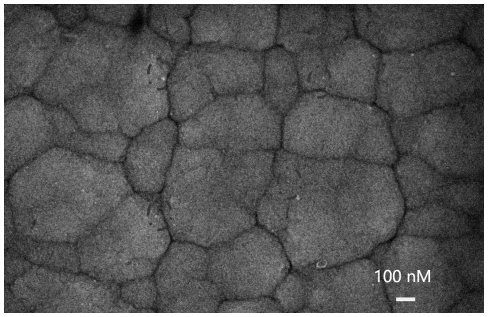 A ceria-modified copper hydroxide composite electrode and its application in glucose sensor