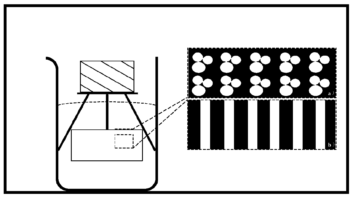 Preparation method of high-density anisotropic conductive metalized wood