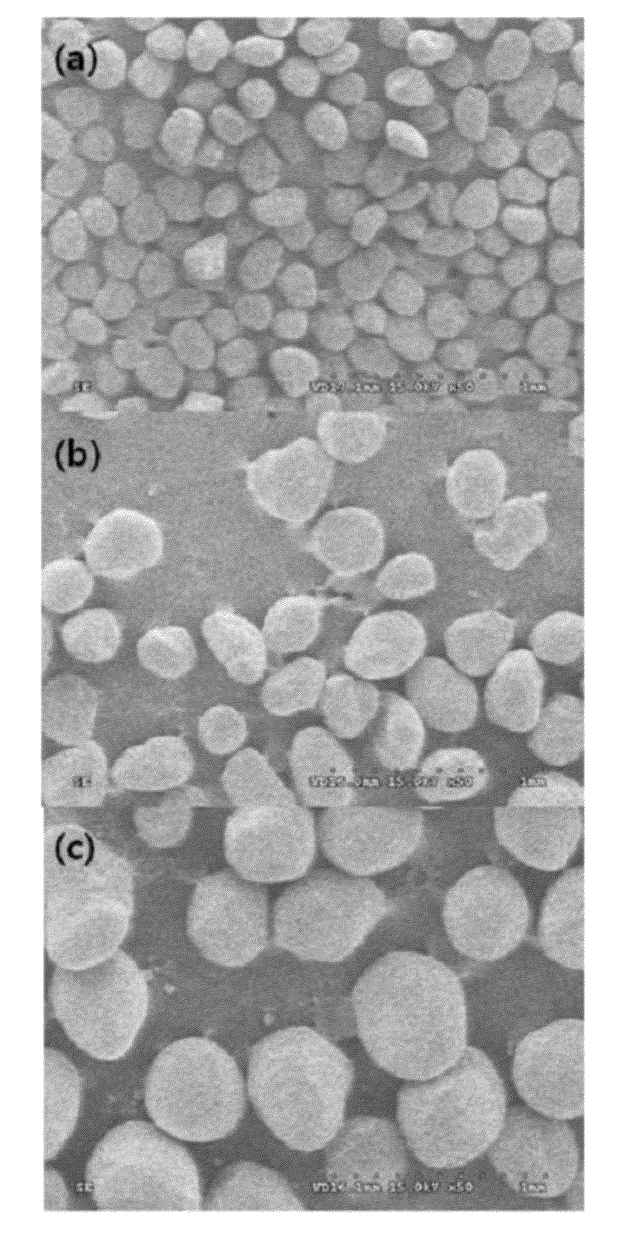 Oxynitride phosphor powder, nitride phosphor powder, and a production method therefor