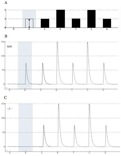 Detection method for establishing gene editing rice based on pyrosequencing technology