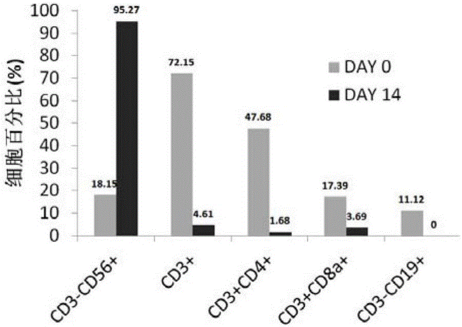 Immune-cell in-vitro-induction-amplification method