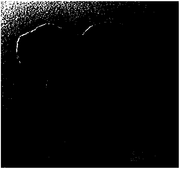 Method for cladding UCNPs (upconversion nanoparticles) through low-temperature cyclodextrin carbonization