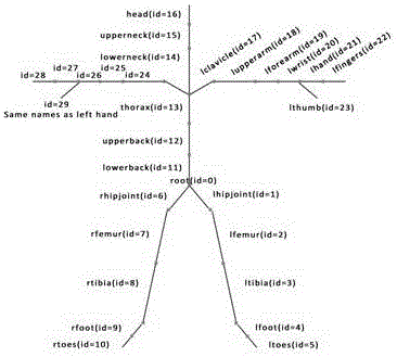 Human body motion data similarity automatic evaluation method