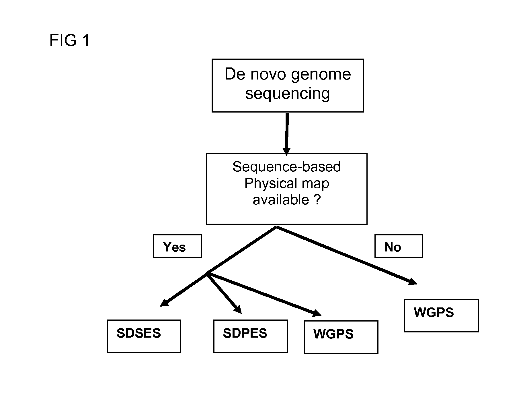 Restriction enzyme based whole genome sequencing