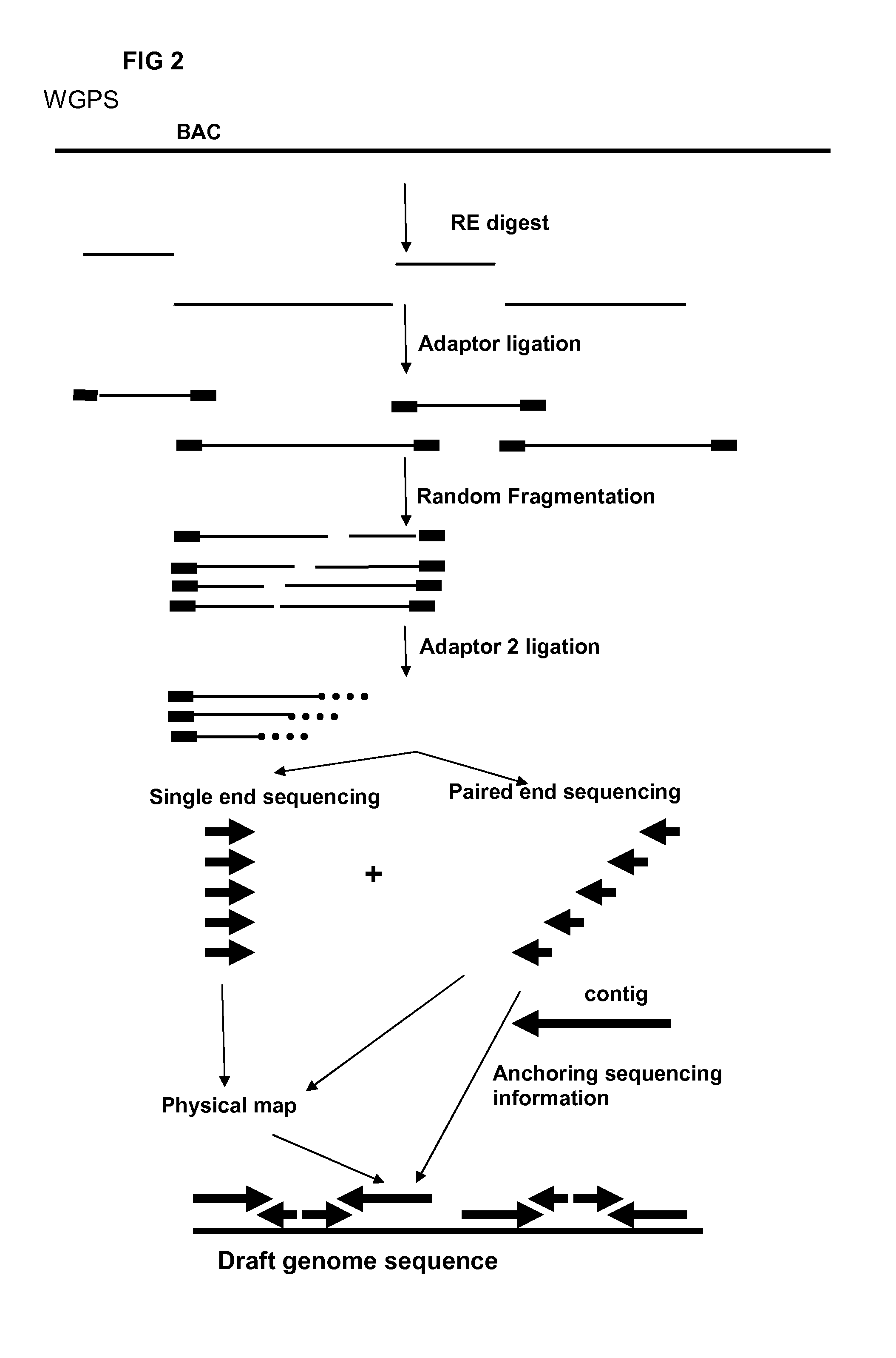 Restriction enzyme based whole genome sequencing