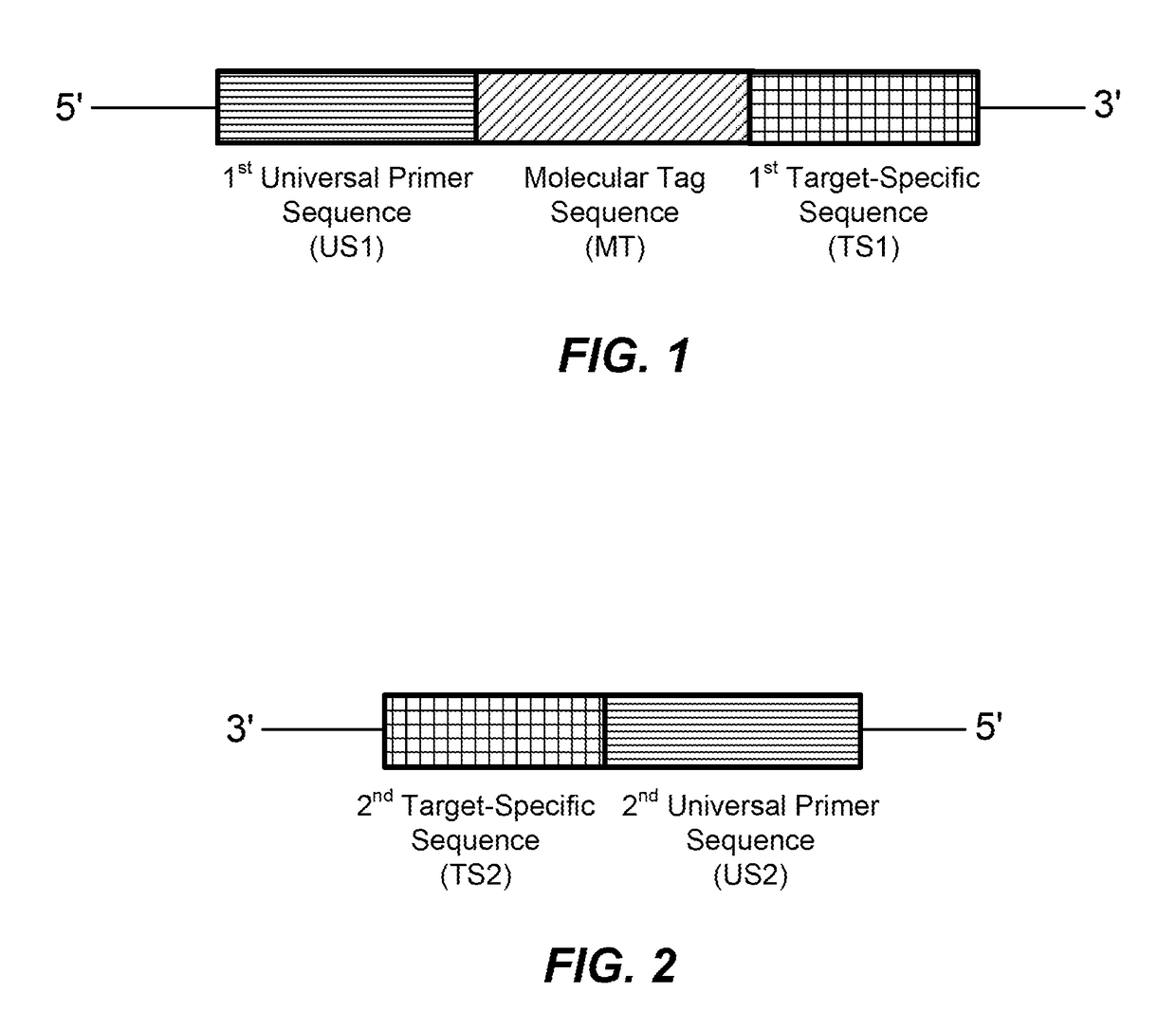 High multiplex PCR with molecular barcoding