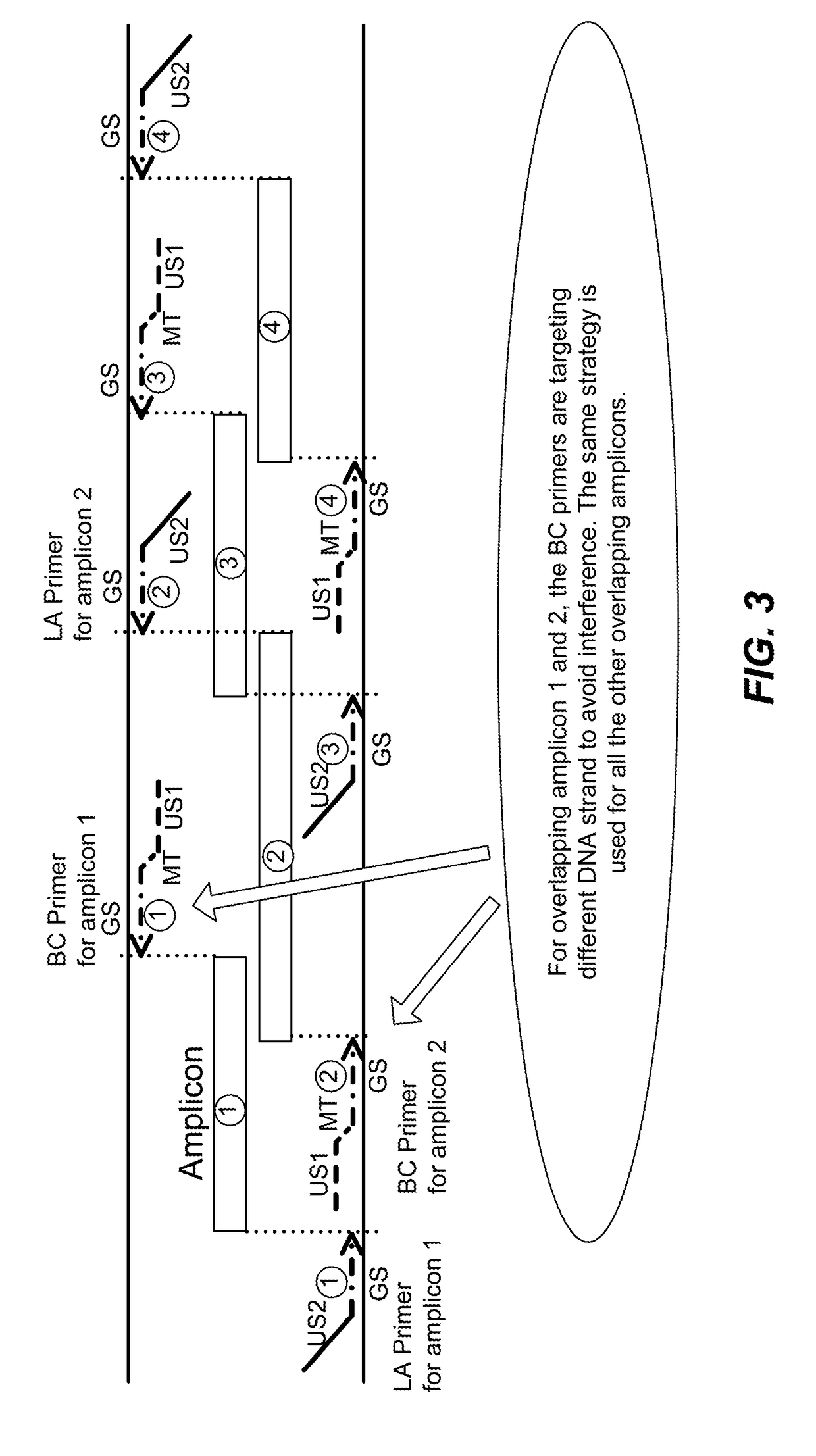 High multiplex PCR with molecular barcoding