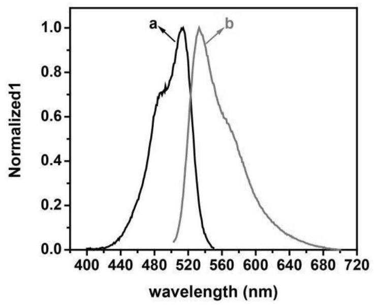 Method for detection of parp-1 activity based on fluorescent dye toto-1 assay