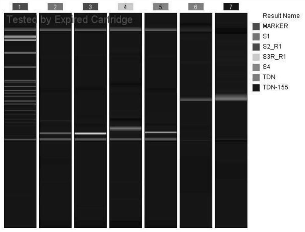 A drug for the prevention of oxidative stress in retinal ganglion cells and wet maculopathy