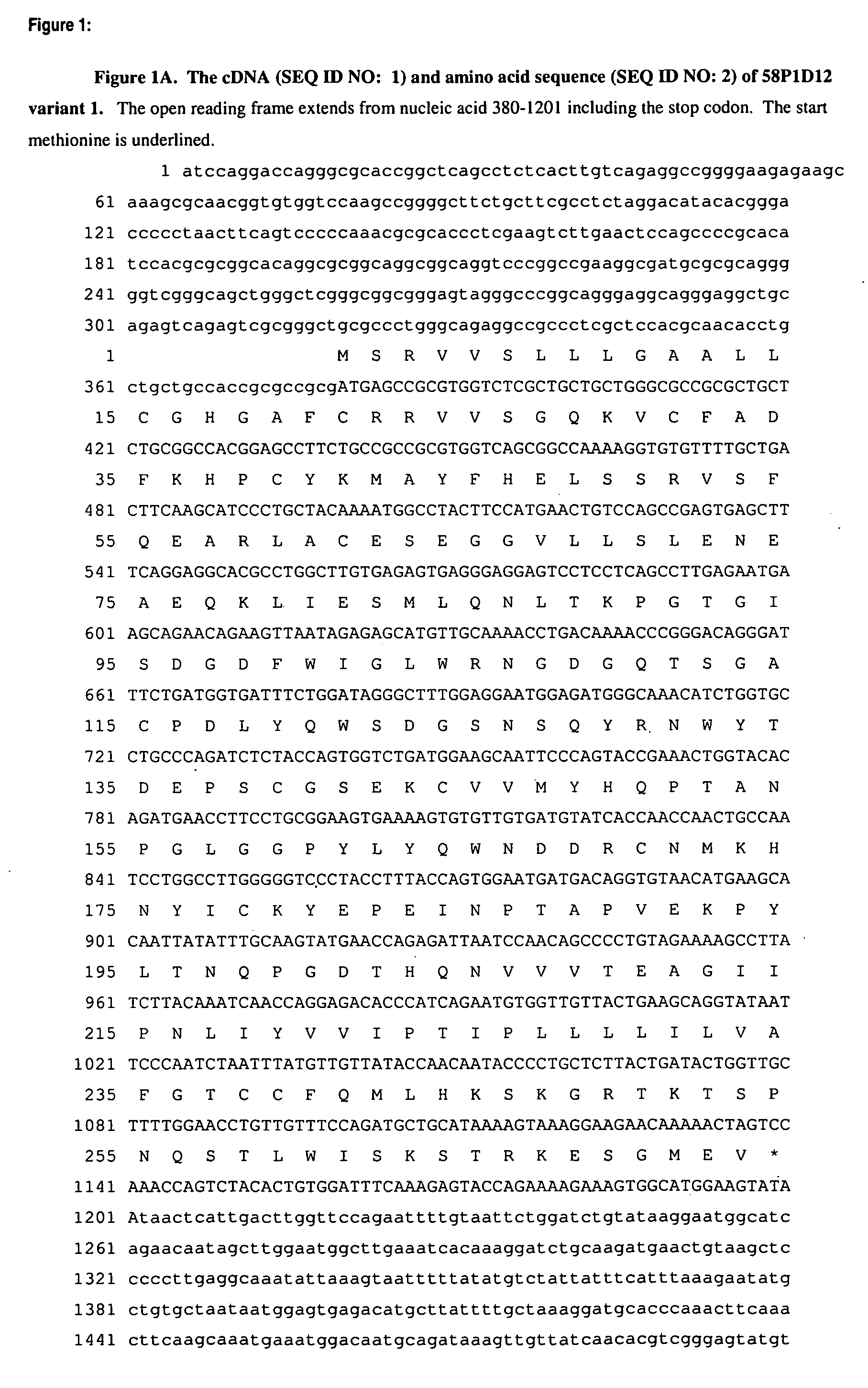 Antibodies and related molecules that bind to 58p1d12 proteins