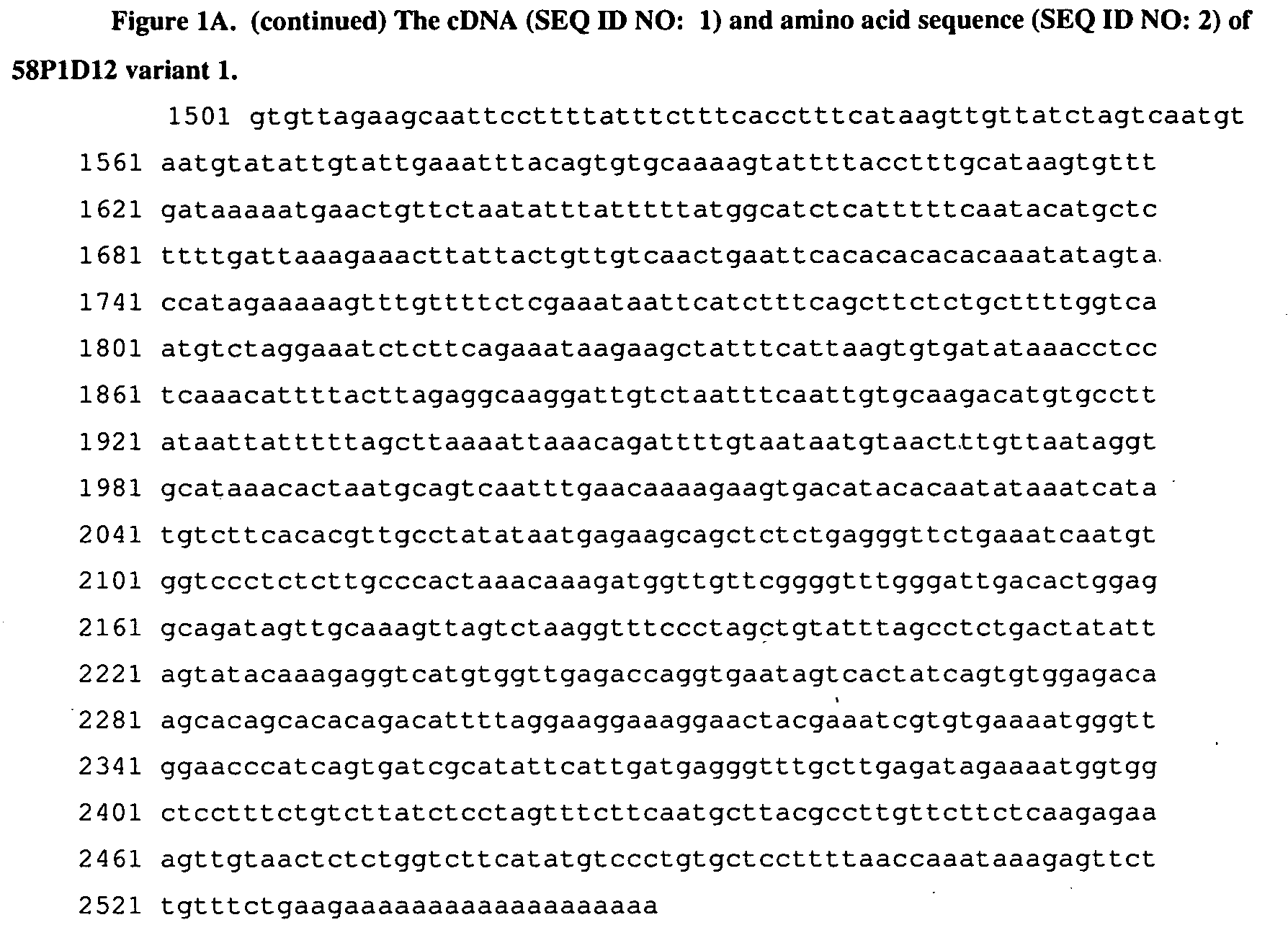 Antibodies and related molecules that bind to 58p1d12 proteins