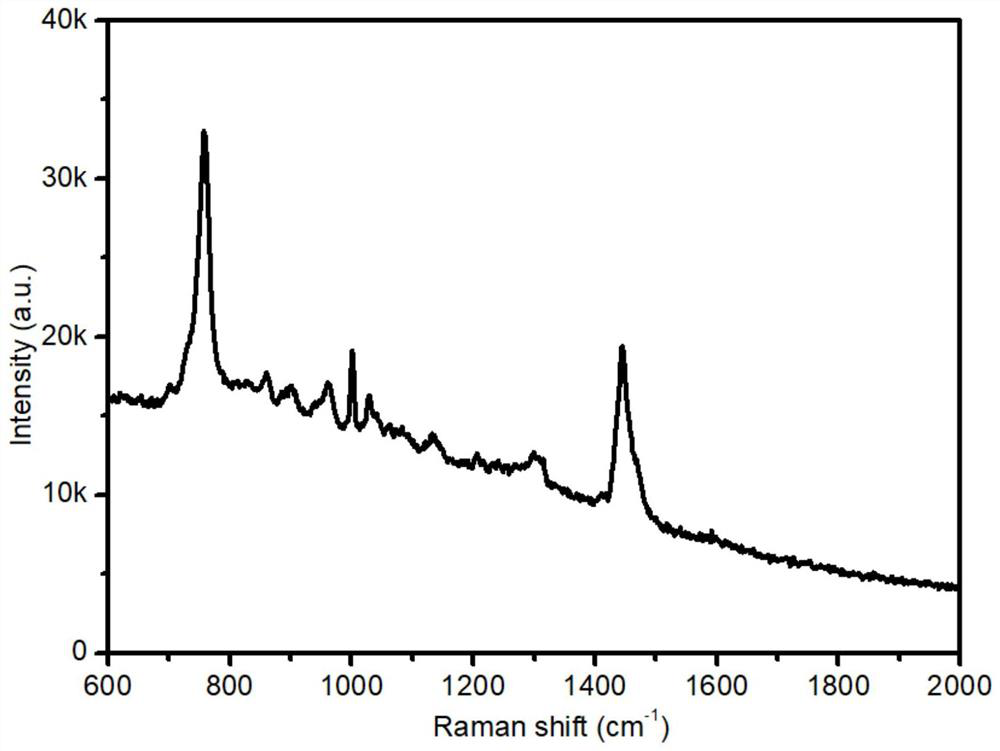 Magnetic nano-material for pretreatment of trace drugs in sewage and preparation and detection methods of magnetic nano-material