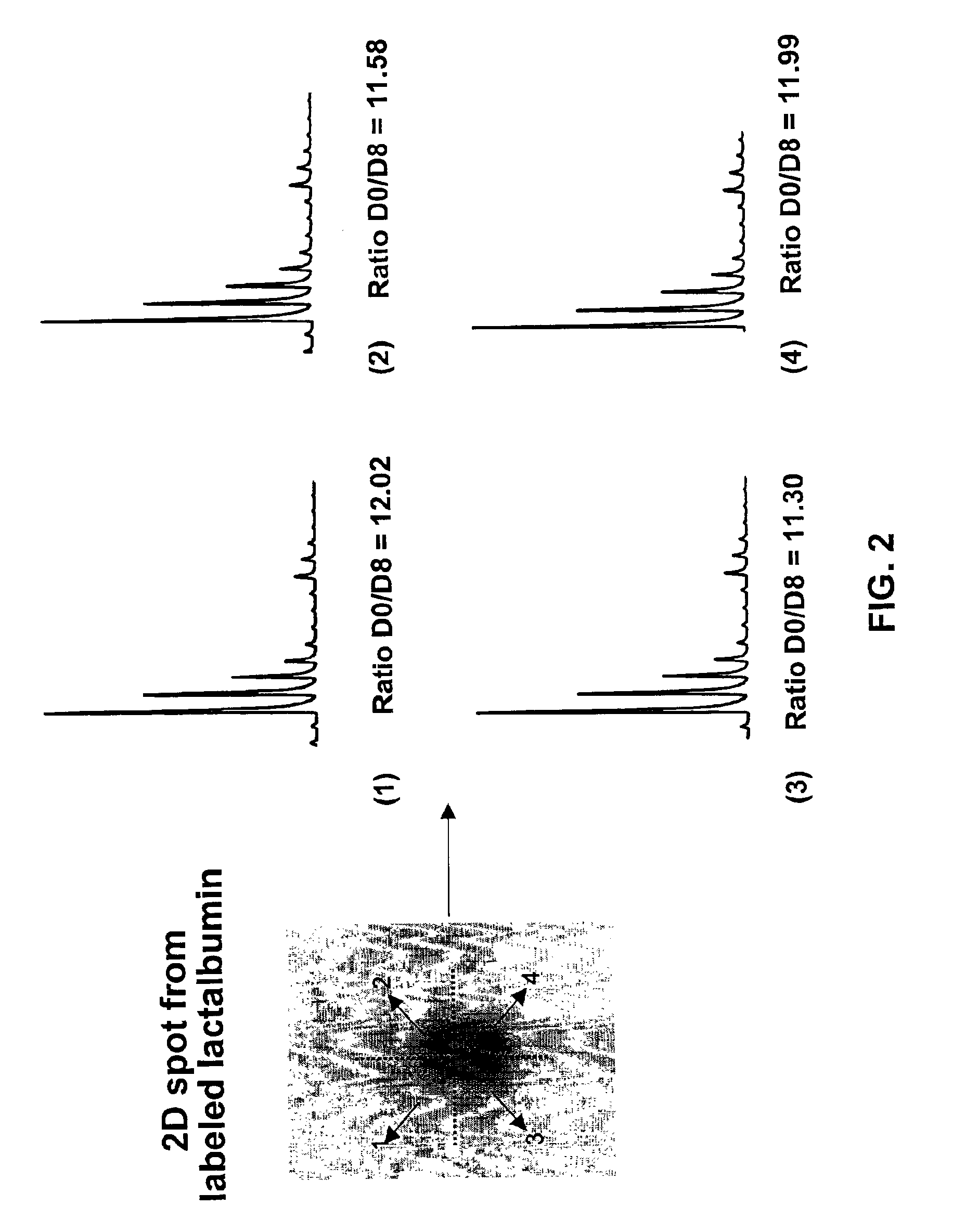 Process for analyzing protein samples