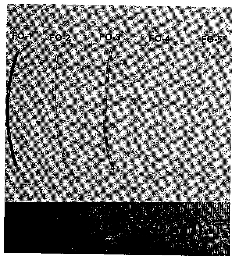 Asymmetric antioxidant permeable membrane and preparation method thereof