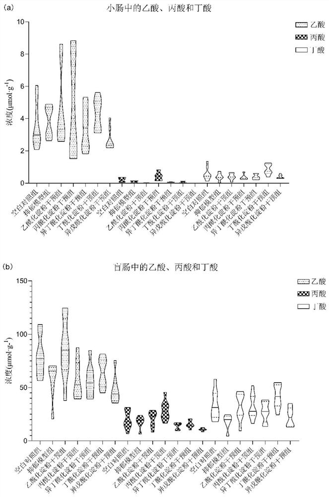 Anti-depression method for fixed-point release of short-chain fatty acids by virtue of acylated starch