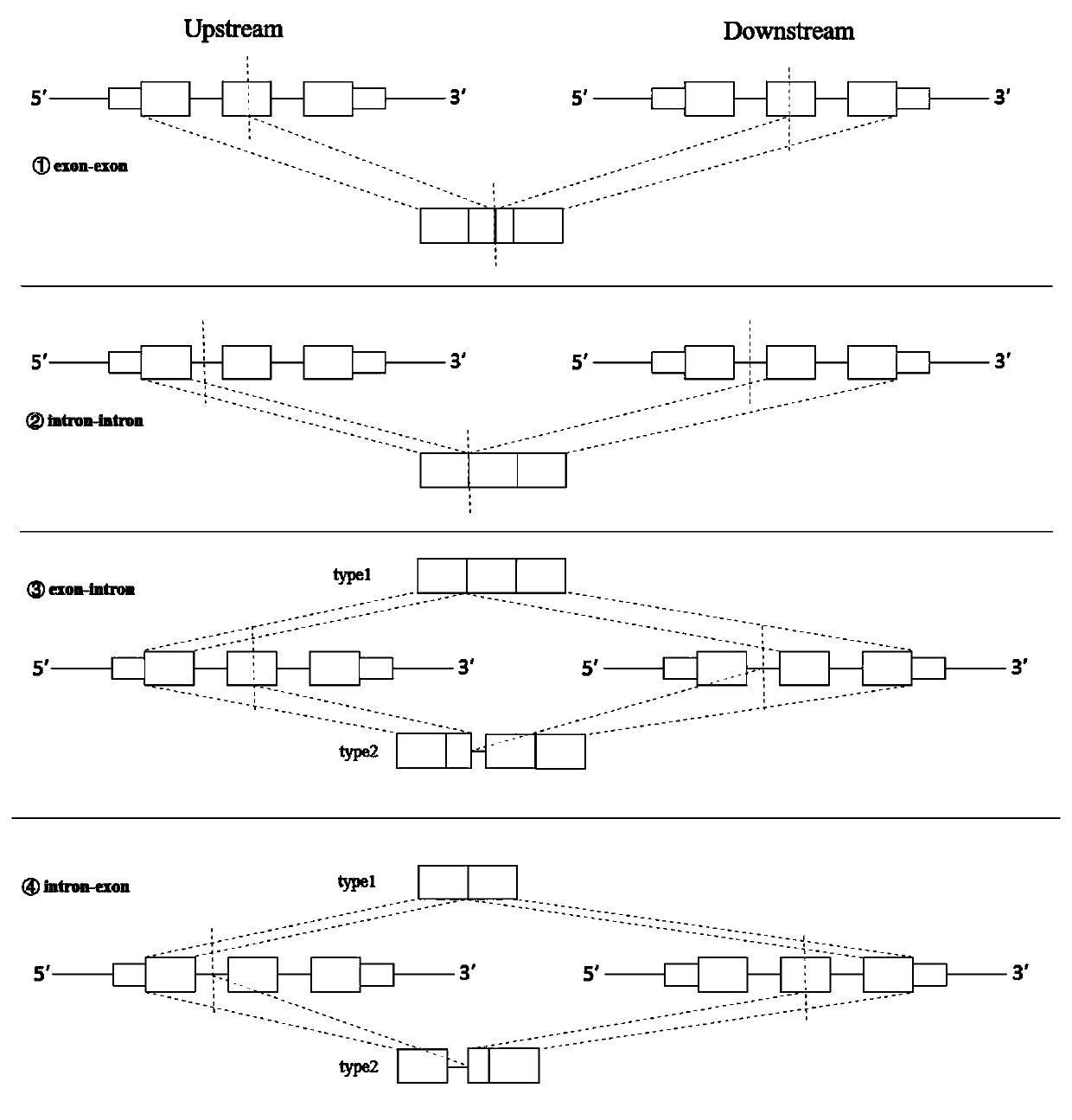 Method and device for extracting gene fusion immune treatment neoantigen by integrating deep sequencing data of DNA and RNA