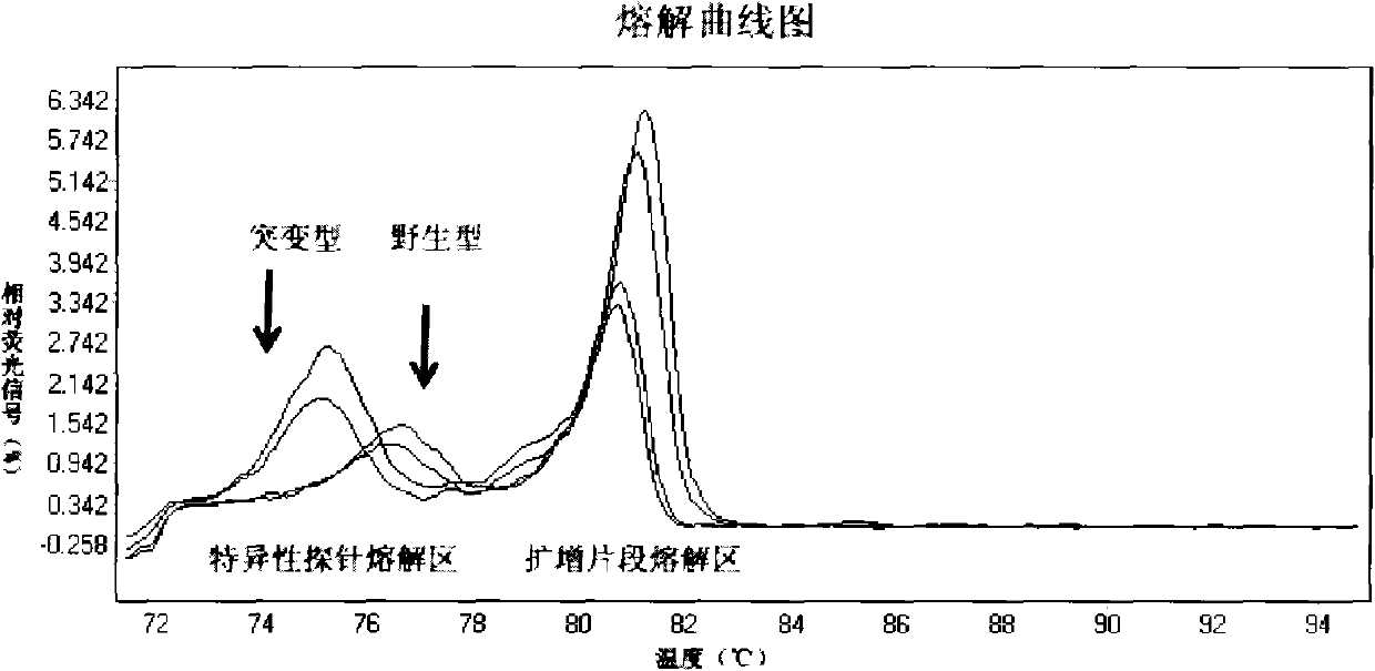 Method and kit for detecting mutation of BRAF gene of human colorectal cancer