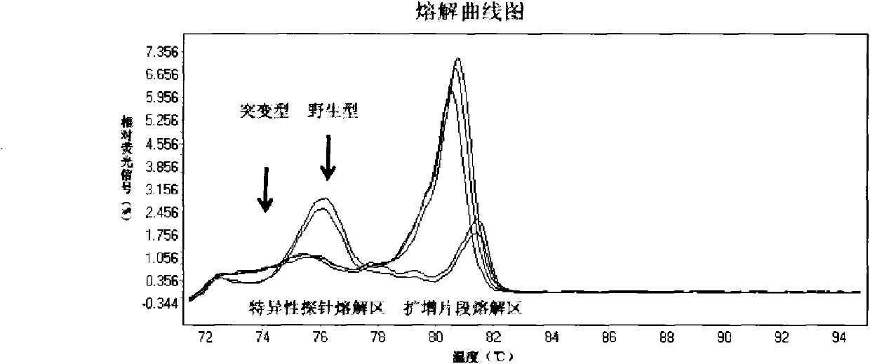 Method and kit for detecting mutation of BRAF gene of human colorectal cancer