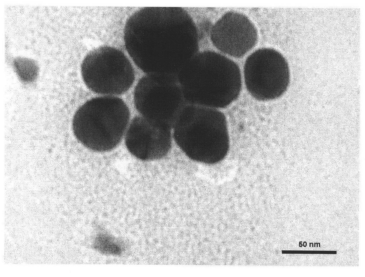 Fluorescent silver nanoparticle and preparation method thereof