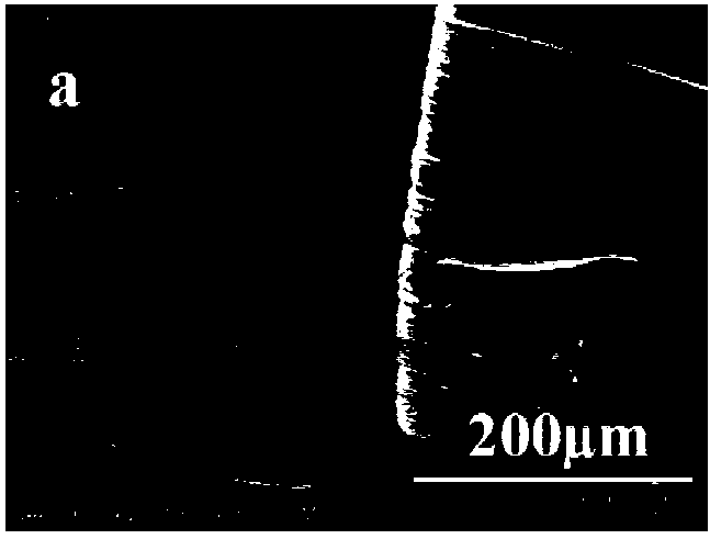 Carbon nanotube fibrous composite material and preparation method thereof