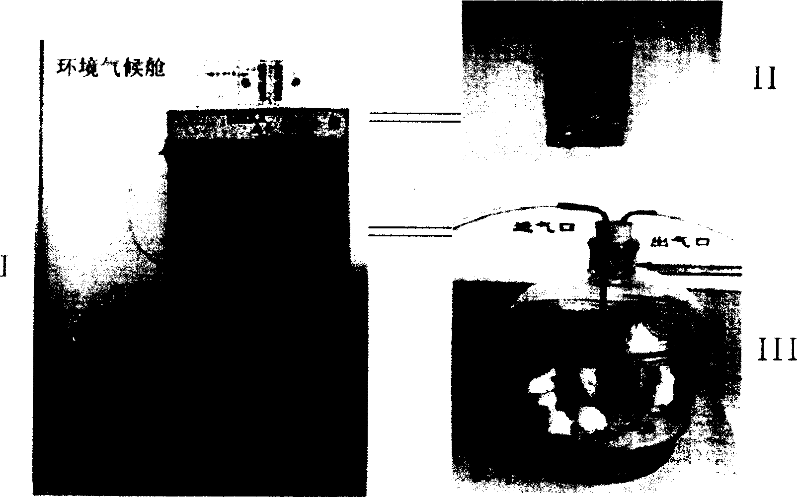 Standard gaseous formaldehyde dynamic contamination device