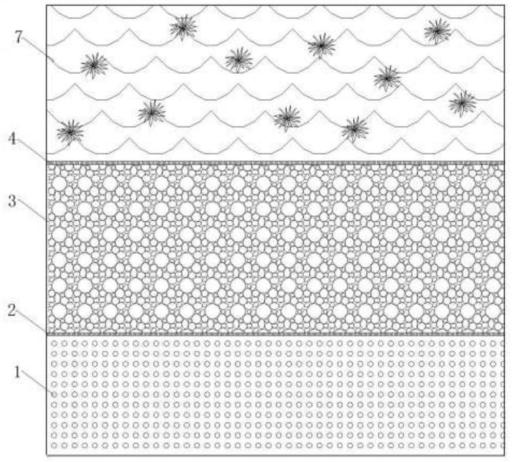 Efficient nitrogen and phosphorus removal composite ecological purification system and purification method