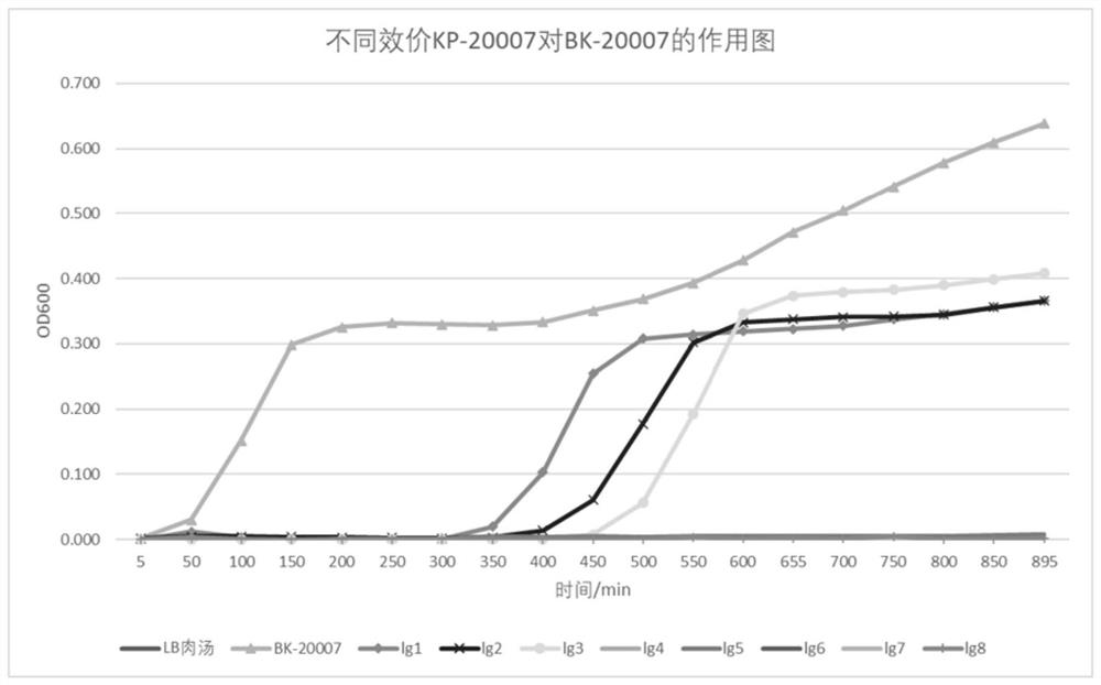 High-lysis klebsiella pneumoniae bacteriophage RDP-KP-20007 and application thereof