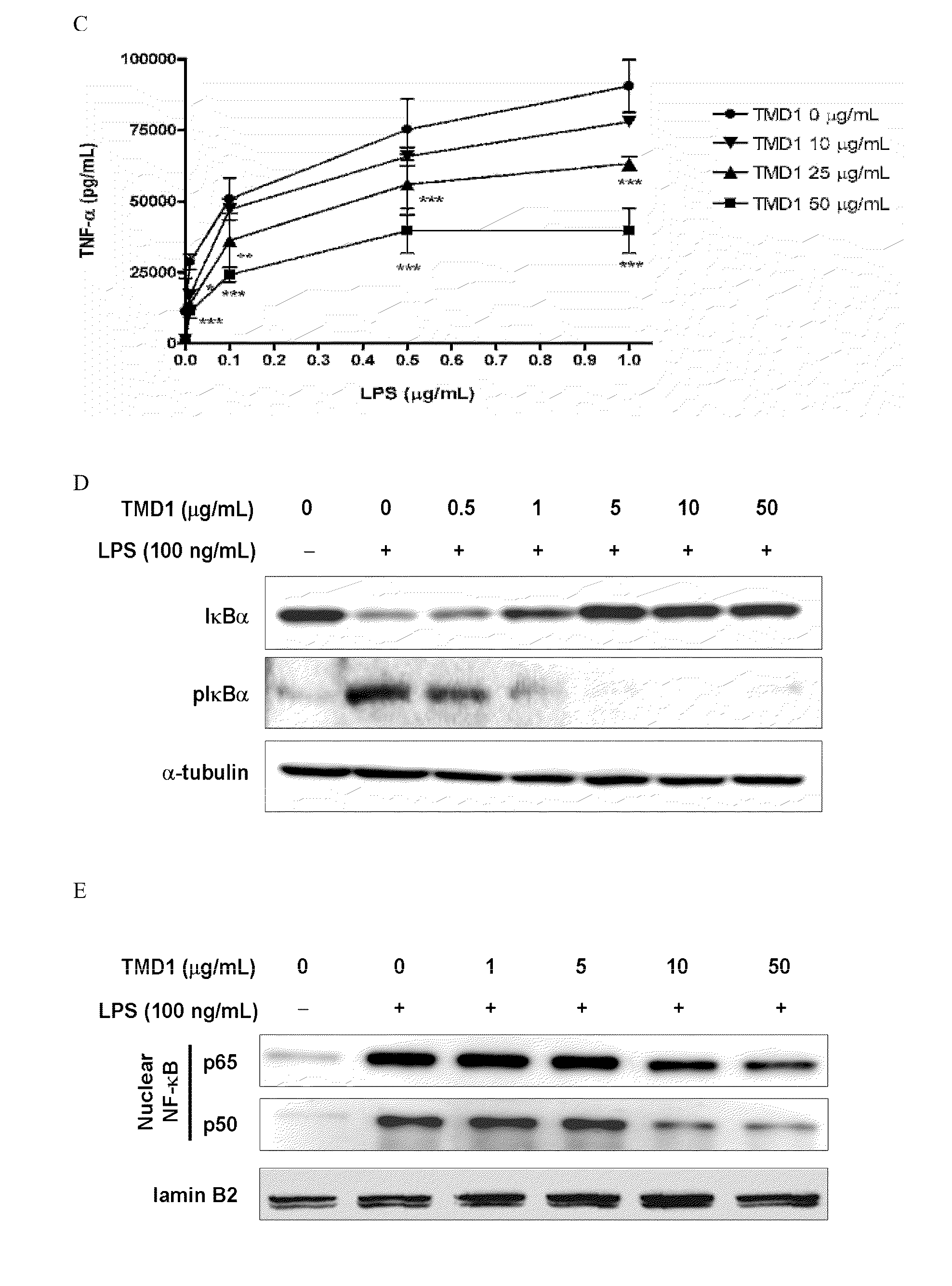 Methods for binding lewis y antigen