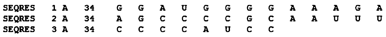 RNA secondary structure prediction method based on recurrent neural network