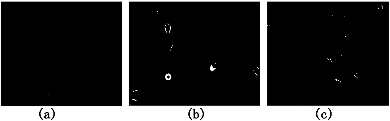 Method and system for detecting and screening quasi-circular cell regions