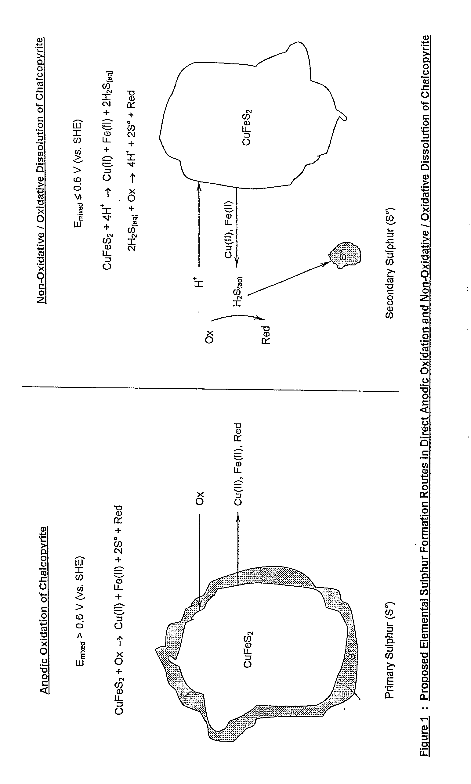 Chloride Heap Leaching