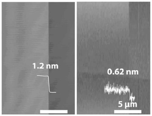 A two-dimensional bismuth oxyselenium atomic crystal material, its preparation method and application