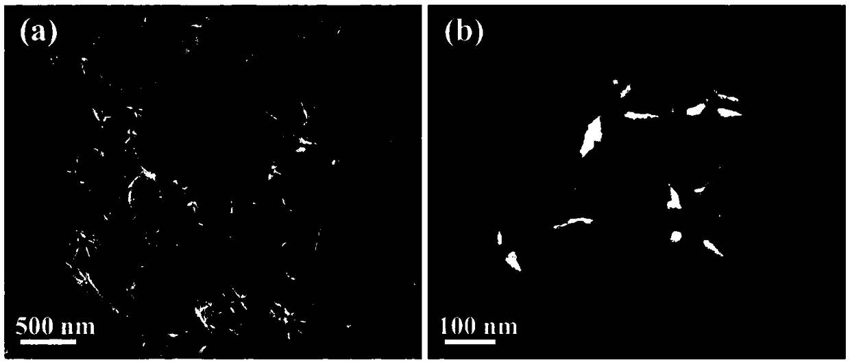 Palladium-ruthenium nano-thorn assembly catalyst and preparation method thereof