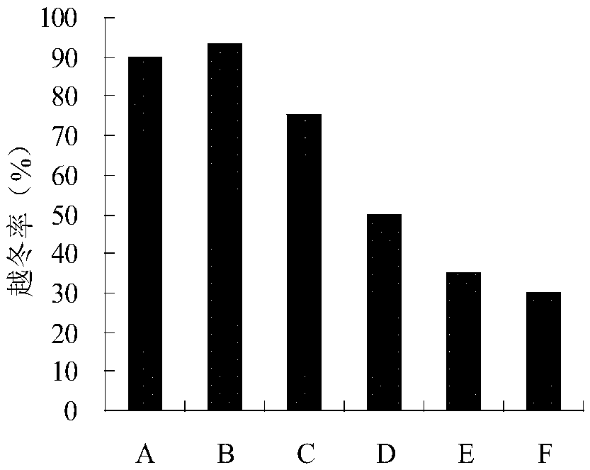 Artificial planting method for recovering secondary bare land in alpine region