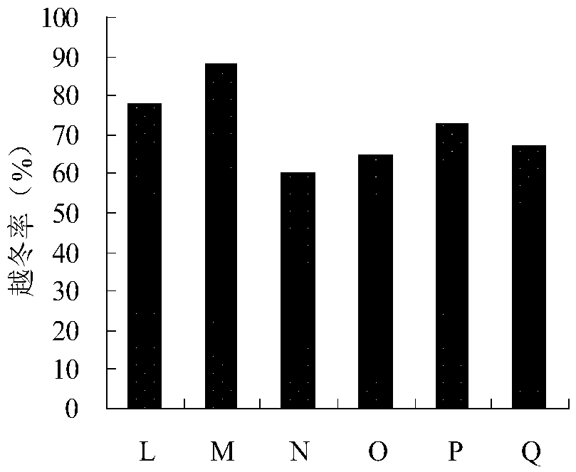 Artificial planting method for recovering secondary bare land in alpine region