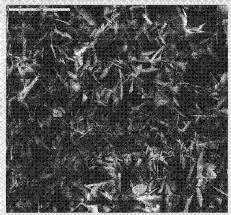 Magnesium alloy surface conversion coating treating fluid and treating process thereof