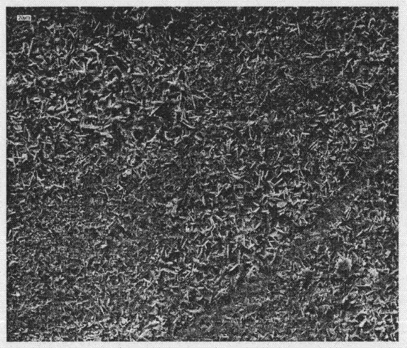 Magnesium alloy surface conversion coating treating fluid and treating process thereof