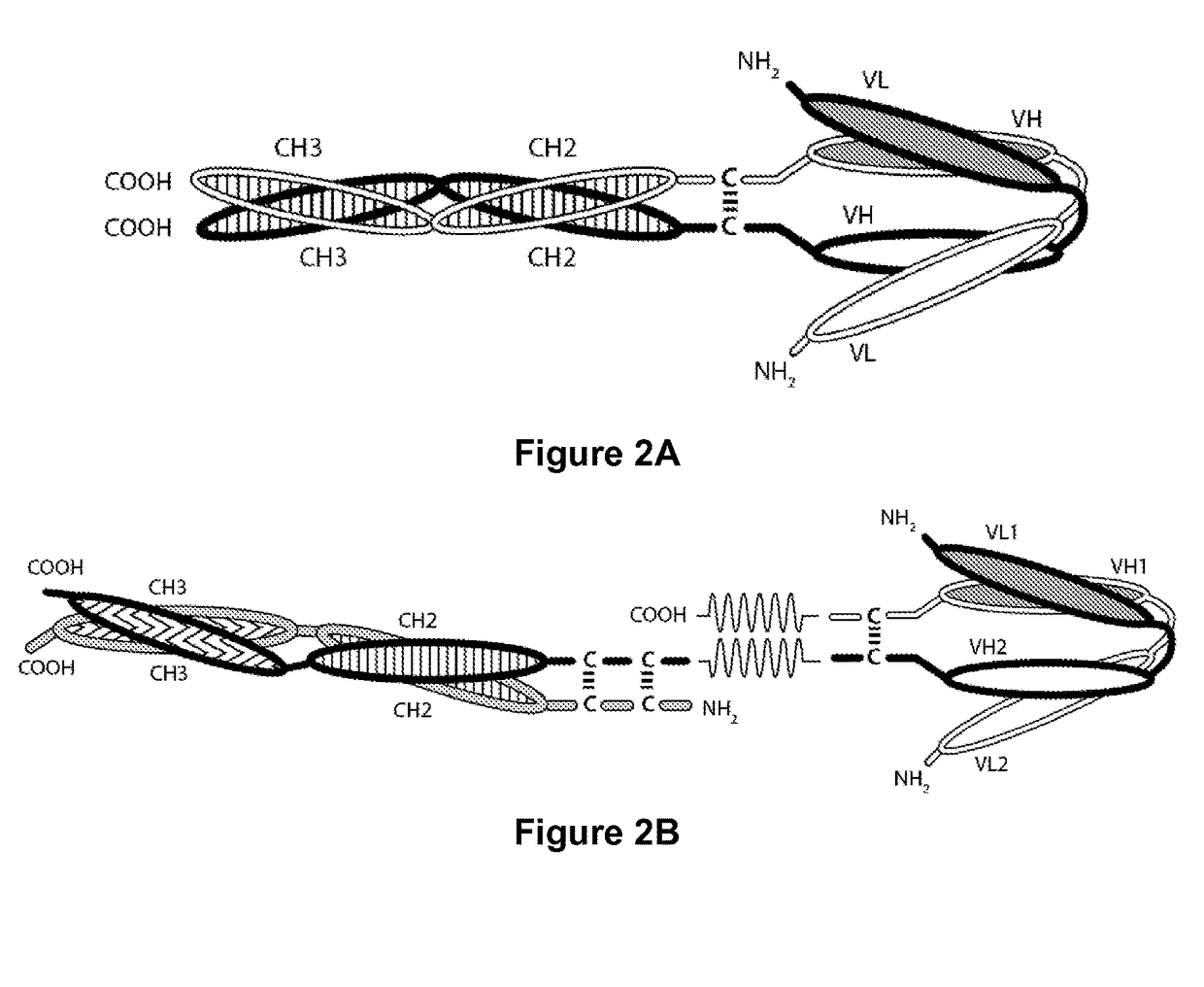 Tri-Specific Binding Molecules and Methods of Use Thereof