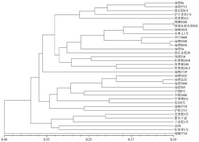 Complete set of primer pairs for constructing semi-glutinous japonica rice variety DNA (Deoxyribonucleic Acid) fingerprint library, and screening method and application of complete set of primer pairs