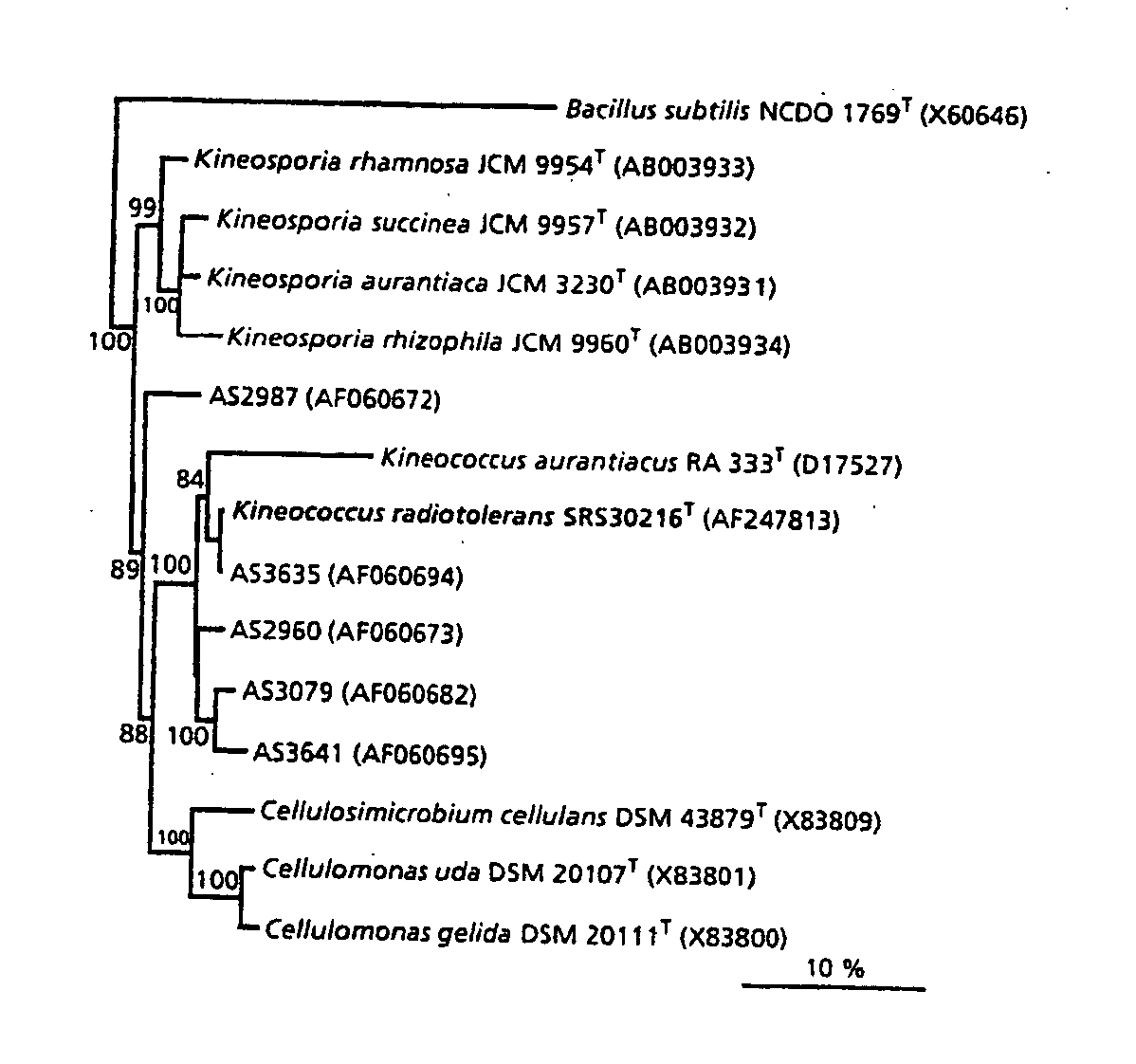 Novel radiation-resistant microorganism