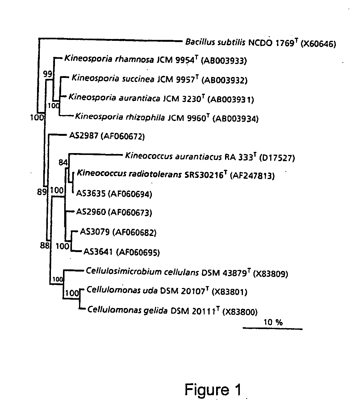 Novel radiation-resistant microorganism