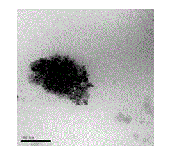 Modified starch magnetic nano compound and preparation method and application thereof